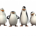 Die Pinguine aus Madagascar