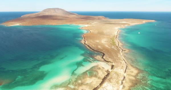 Bild 1 von 3: Die vielen vorgelagerten Vulkaninseln mit ihren Unterwassergipfeln vor der Küste der Baja California machen die Gegend zu einem Tauchparadies.