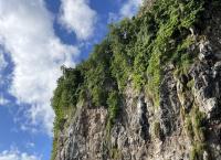 Giganten unter Wasser - Riesenfischen auf der Spur