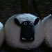 Shaun das Schaf