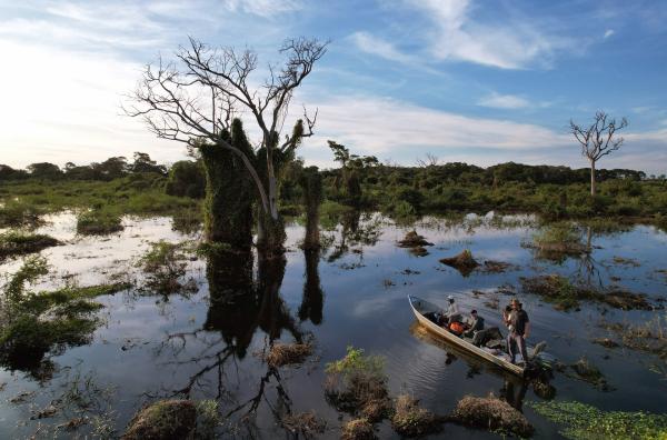 Bild 1 von 5: Das von Flussläufen und Sümpfen durchzogene Pantanal ist das größte Feuchtgebiet der Welt.