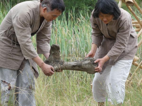Bild 1 von 15: Im 2. Jahrhundert vor Christus stoßen Arbeiter in der heutigen chinesischen Provinz Sichuan auf einen gewaltigen Knochen. Der zu Rate gezogene Gelehrte ist sich sicher: Die muss die Hinterlassenschaft eines Drachen sein.