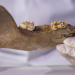 Archäologie erleben