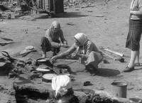 Stalingrad - Stimmen aus Ruinen