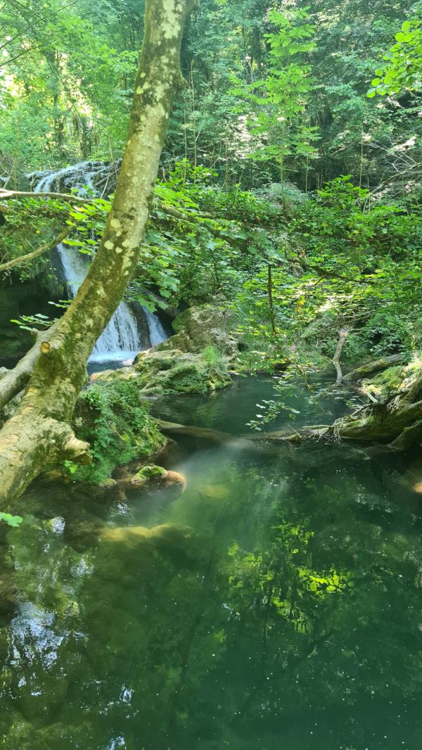 Bild 1 von 6: Der Cascada Beusnita ist einer von mehreren Wasserfällen im Nationalpark CheileNerei-Beusnita.