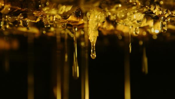 Bild 1 von 8: Der Einsatz von Pestiziden in der Soja-Monokultur in Argentinien hat den Bienen stark zugesetzt. Sie geben viel weniger Honig als früher.