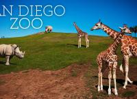 San Diego Zoo