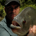 Chasing Monsters - Monsterfischen auf der Spur