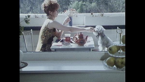 Bild 1 von 2: Frauchen mit ihrem Schatz beim Frühstück.