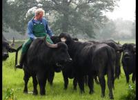 Die Büffelranch