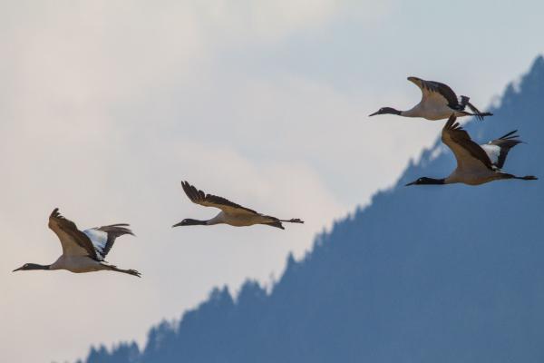 Bild 1 von 3: .