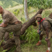 Jumanji: Willkommen im Dschungel