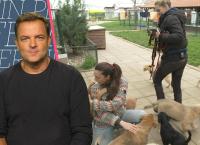 Dein perfekter Hund