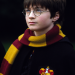 Harry Potter und der Stein der Weisen
