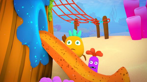 Bild 1 von 1: Buba (links) und Keck (rechts) erschrecken, als tatsächlich ein Hai ins Riff kommt.