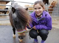 Anna und die Haustiere