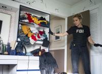 FBI: Special Crime Unit