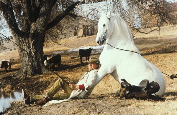 Bild 1 von 5: Jolly Jumper unterstützt seinen Reiter Lucky Luke (Terence Hill) in jeder Lebenslage - auch beim Angeln ...