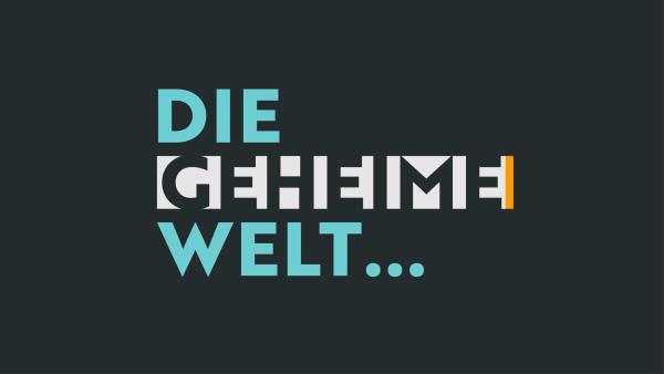 Bild 1 von 1: Die geheime Welt ... - Logo