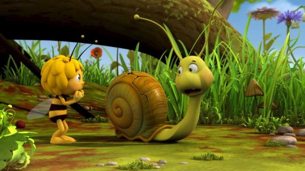 Bild 1 von 4: Das Schneckenhaus von Rufus hat einen Knacks.