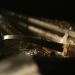 Killer-Paare - Tödliches Verlangen