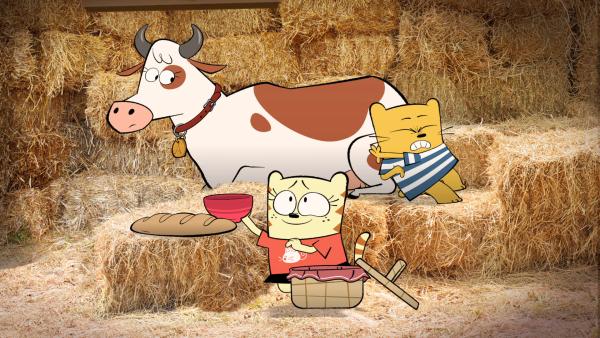 Bild 1 von 3: Moon hat Ollie Käse versprochen.