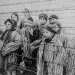 Auschwitz - Überleben in der Hölle
