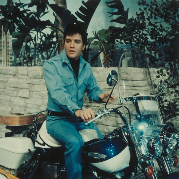 Bild 1 von 5: Scott Hayward (Elvis Presley)