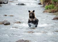 Wildes Japan - Land der tausend Inseln