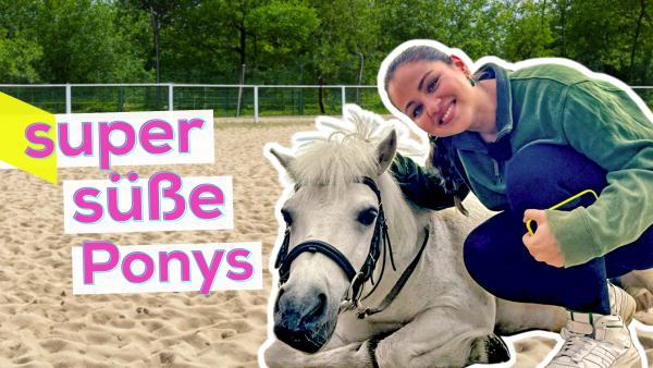 Bild 1 von 1: Sarah beim Ponyteam Biberach