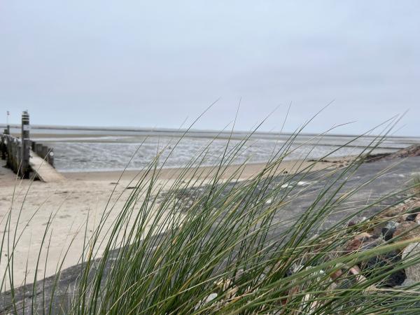 Bild 1 von 11: Wind, Wattenmeer und einsame Strände - Winter an der Nordsee