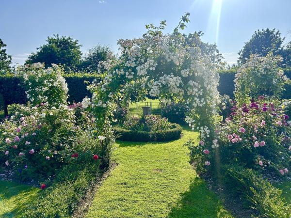 Bild 1 von 41: Im Bild: Kilgar House Gardens. Ein wahres Rosenparadies und viele aufregende Themengärten machen dieses blühende Juwel aus. Geschaffen hat diesen drei Hektar großen Garten die Innenarchitektin Paula Byrne.