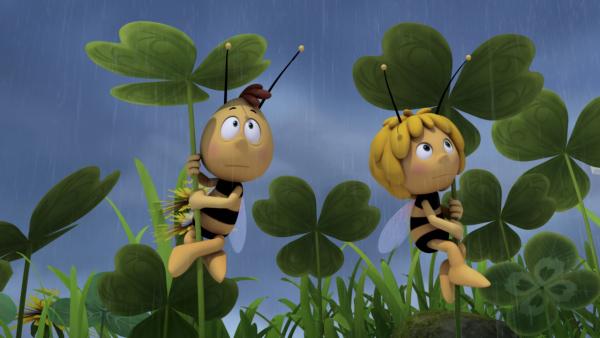 Bild 1 von 8: Lara lässt es regnen.