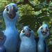 Rio 2 - Dschungelfieber