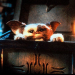 Gremlins - Kleine Monster