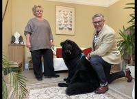 Hunde außer Kontrolle - Ein Coach für alle Felle