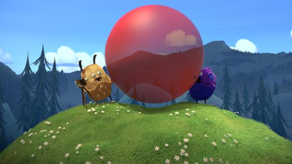 Bild 1 von 3: Strit passt auf seinen Ballon nicht besonders gut auf.