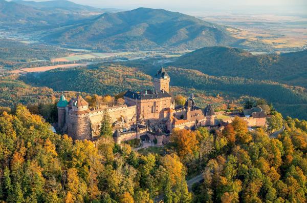 Bild 1 von 4: Der Bau der Hohkönigsburg hatte Folgen für die umliegende Landschaft und deren Flora und Fauna. Er führte zu Veränderungen von Wäldern, Wiesen und Flüssen, was sich auf typische Tierarten der Region auswirkte.