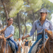 Die wilden Pferde der Doñana