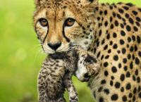 Abenteuer Wildnis