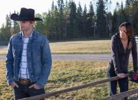 Heartland - Paradies für Pferde