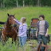 Heartland - Paradies für Pferde