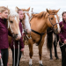 Heartland - Paradies für Pferde