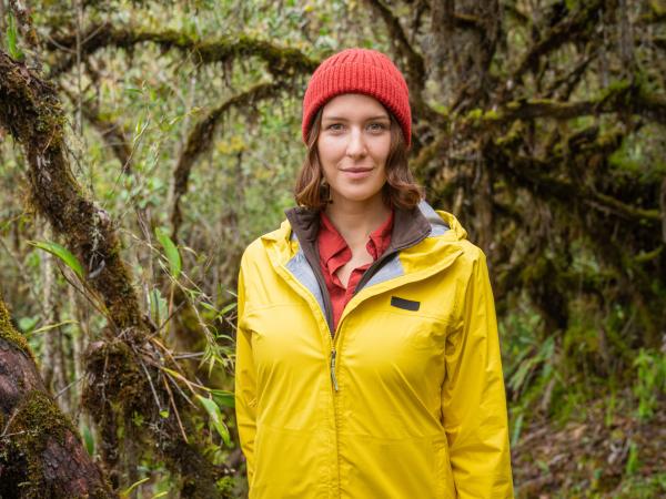Bild 1 von 10: Wie ein riesiger Schwamm gibt der Nebelwald Wasser an den Boden ab und speist so Bäche und Flüsse, die sich in das Amazonasbecken ergießen. Der Wald holt sich das Wasser zu einem großen Teil aus der Luft. Der Nebel kondensiert an den Blättern und Zweigen. Pflanzen wie Bromelien, Orchideen oder Moose können diese Feuchtigkeit direkt über ihre Oberfläche aufnehmen. Das restliche Wasser fließt entlang der Pflanze nach unten und wird schließlich in den Boden geleitet