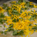 Wastecooking - Kochen was andere verschwenden