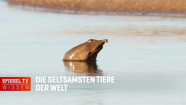 Bild 1 von 2: .