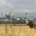 Kenia: Kein Platz für wilde Tiere