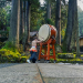 Drum Stories