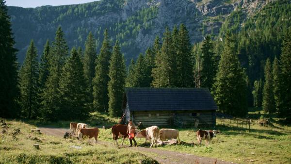 Bild 1 von 2: .
