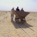 Ägyptens Totenstadt - Die Geheimnisse von Sakkara
